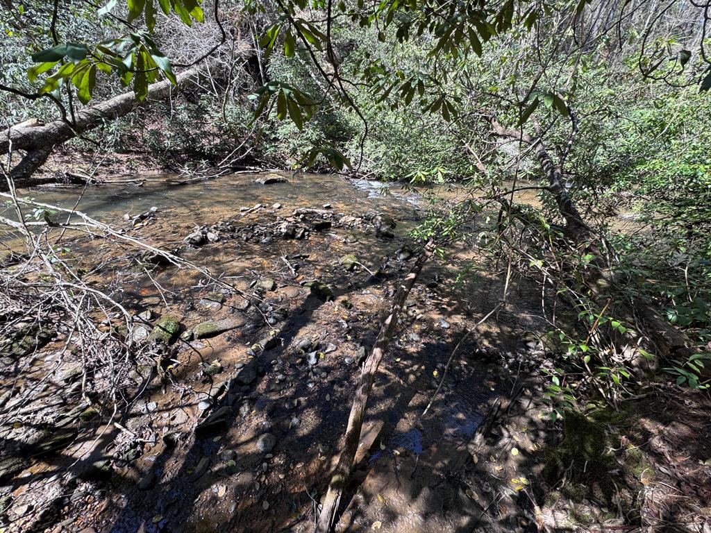 0 Virginia Lane Murphy, NC 28906 - Photo 10 of 12