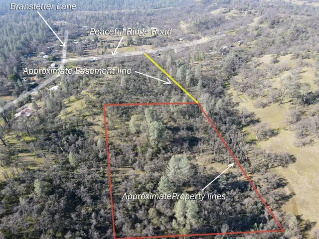 a view of a dry yard