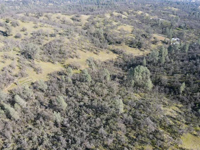a view of a dry yard with green space