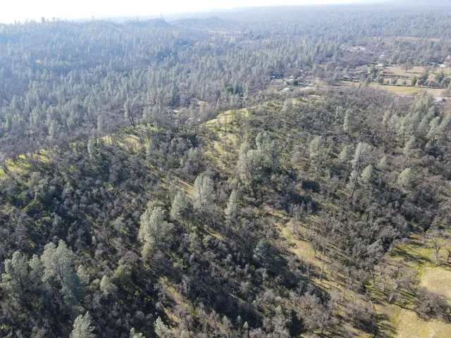 a view of a dry yard