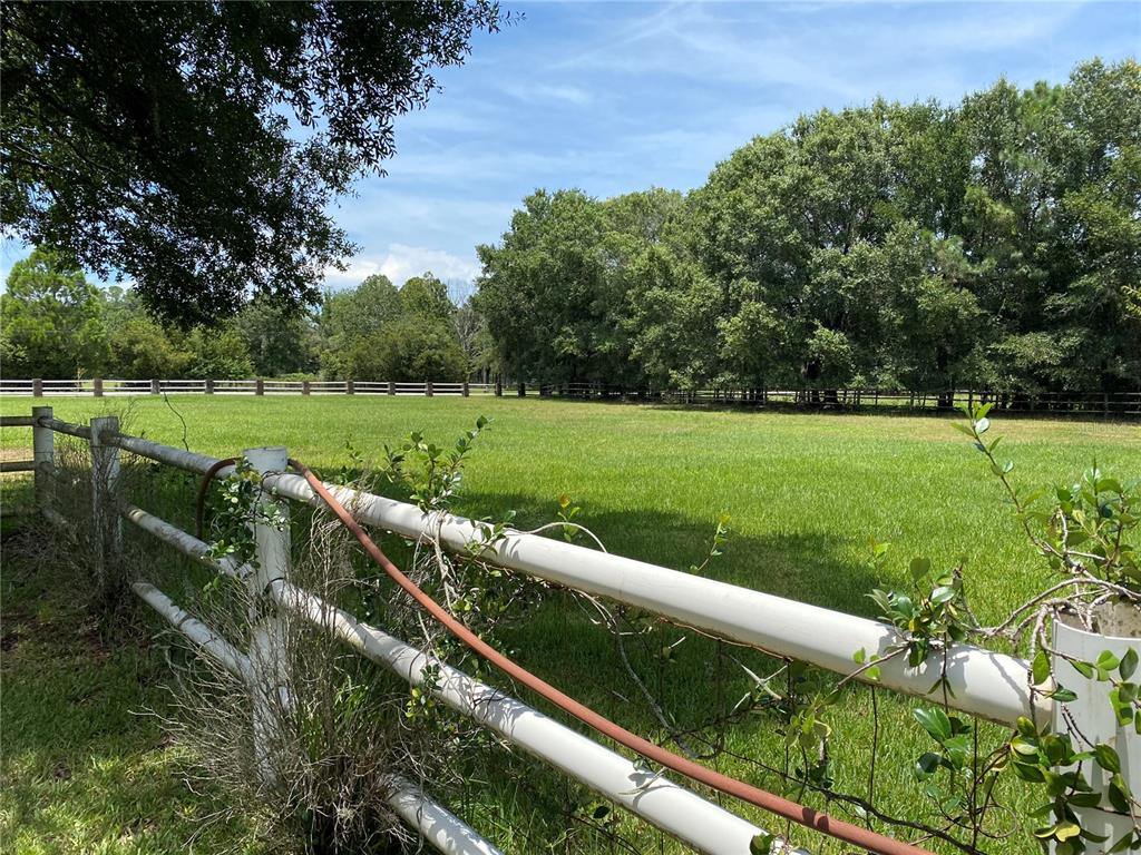 Appaloosa Road Tarpon Springs, FL 34688 - Photo 1 of 1 a view of a green field with wooden fence