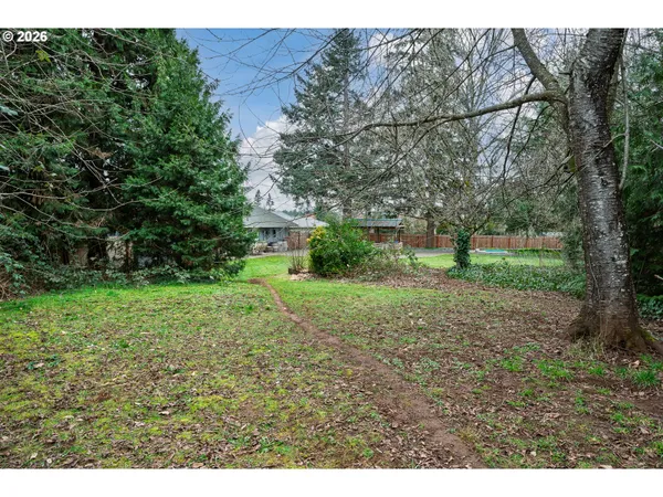 a view of a yard with an tree