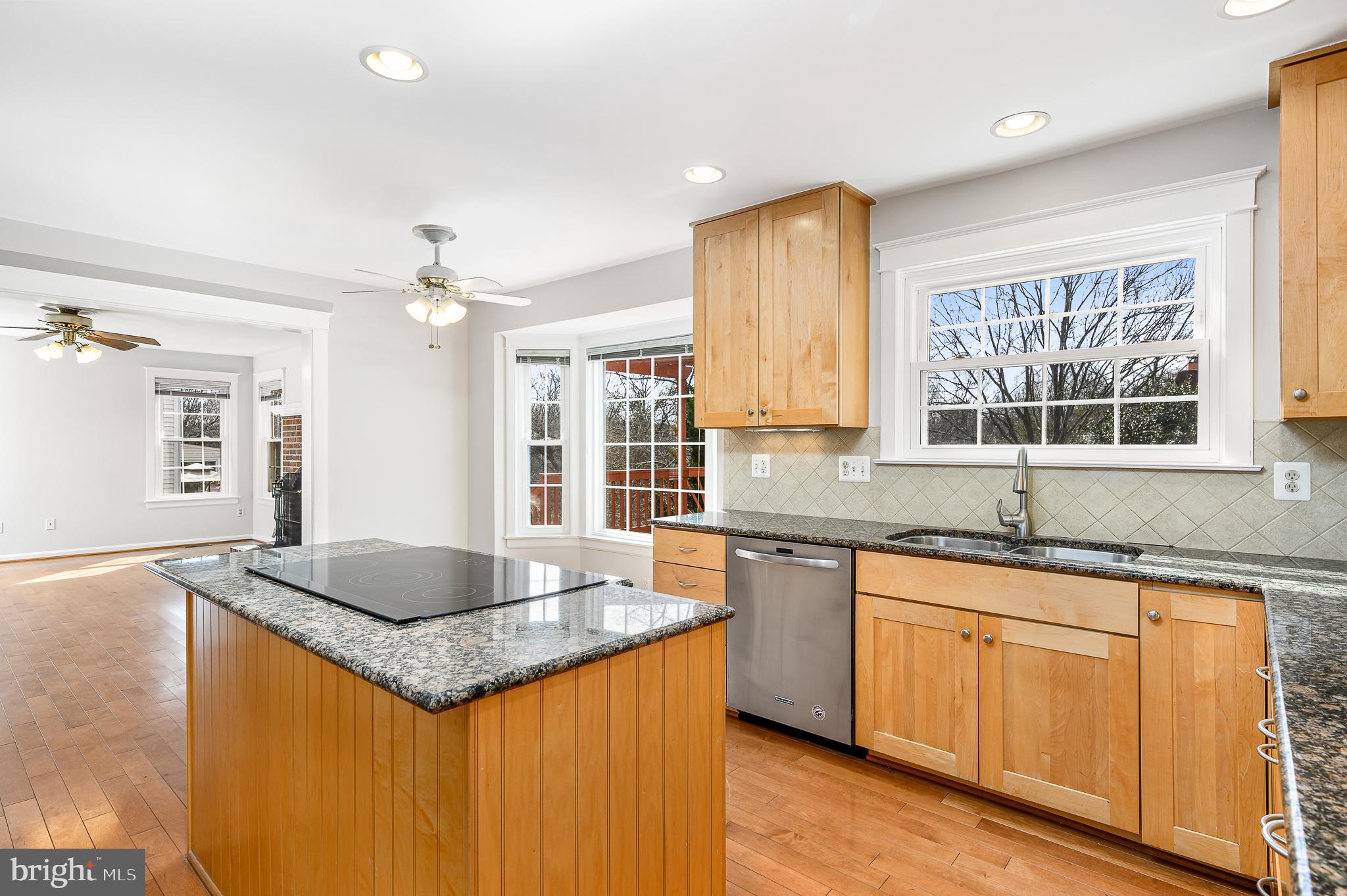 43356 Wayside Circle Ashburn, VA 20147 - Photo 23 of 52 a kitchen with granite countertop sink stove and granite counter top