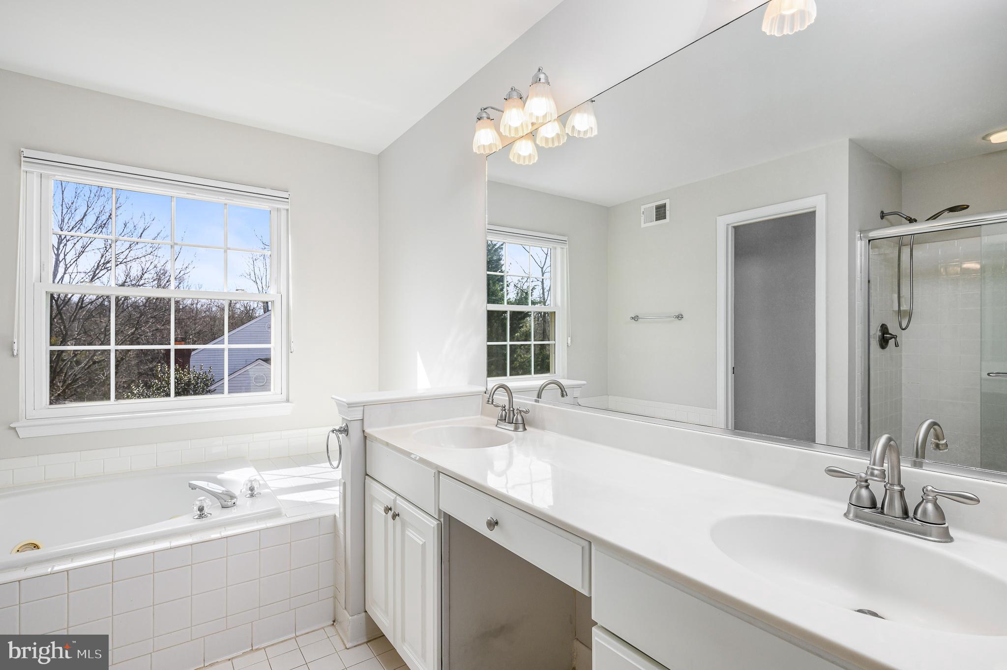 43356 Wayside Circle Ashburn, VA 20147 - Photo 34 of 52 a bathroom with a tub a sink double vanity and a mirror