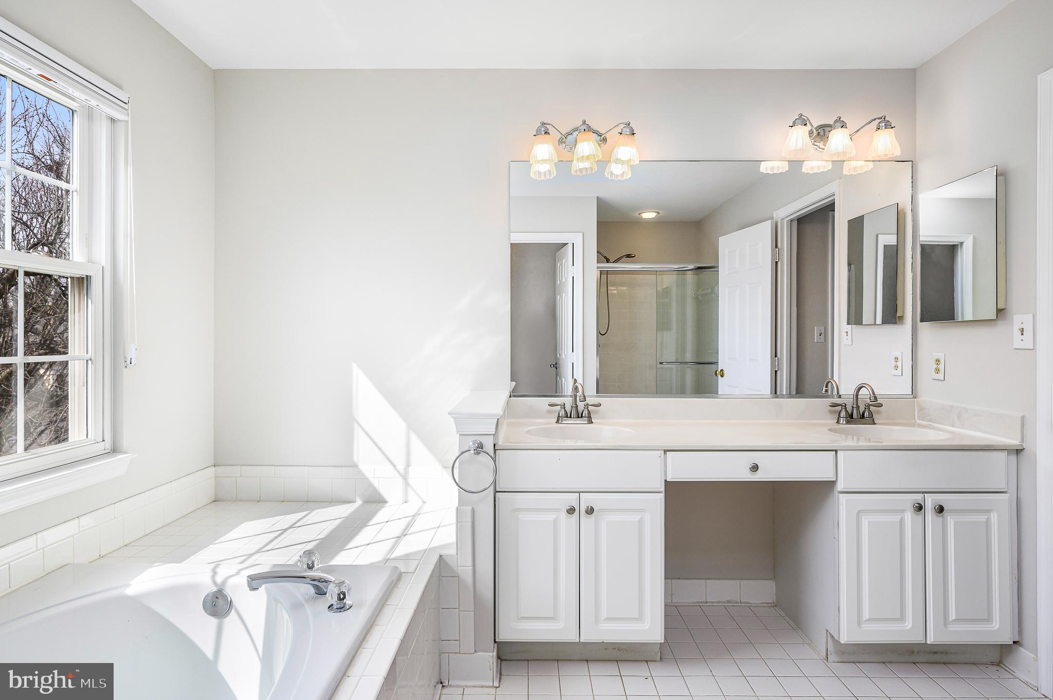 43356 Wayside Circle Ashburn, VA 20147 - Photo 35 of 52 a en suite bathroom with a double vanity sink a mirror and a shower