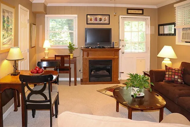 a living room with furniture and a fireplace
