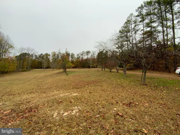 a view of a field with trees in background