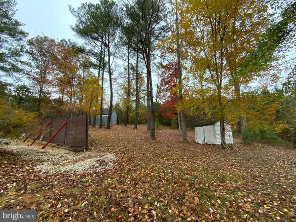 a view of a backyard with large trees