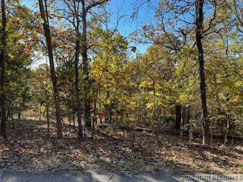 $6,500 | Lot 436 Lot Road, Camdenton, MO 65020