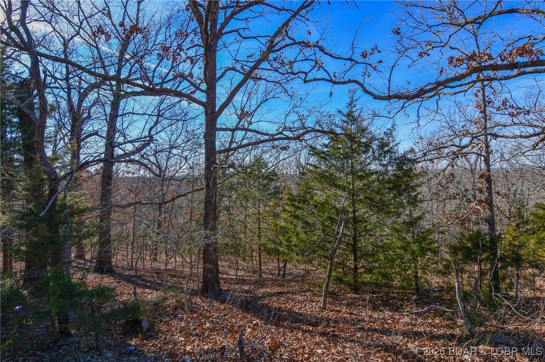 Lot 436 Lot Road Camdenton, MO 65020 - Photo 2 of 8 Roadside view of the lot in the winter