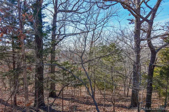 $6,500 | Lot 436 Lot Road, Camdenton, MO 65020