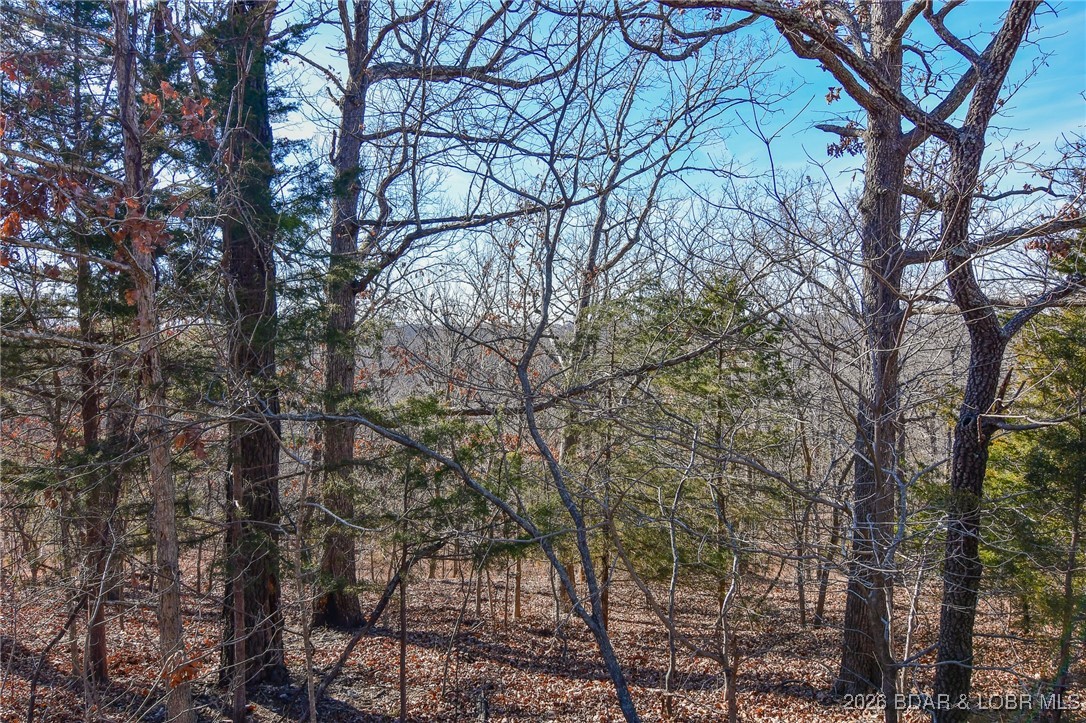 Lot 436 Lot Road Camdenton, MO 65020 - Photo 4 of 8 Interior view of lot in the winter