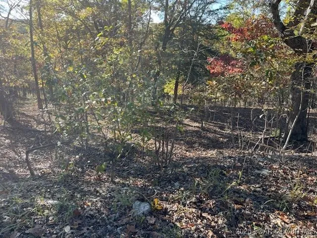 $6,500 | Lot 436 Lot Road, Camdenton, MO 65020
