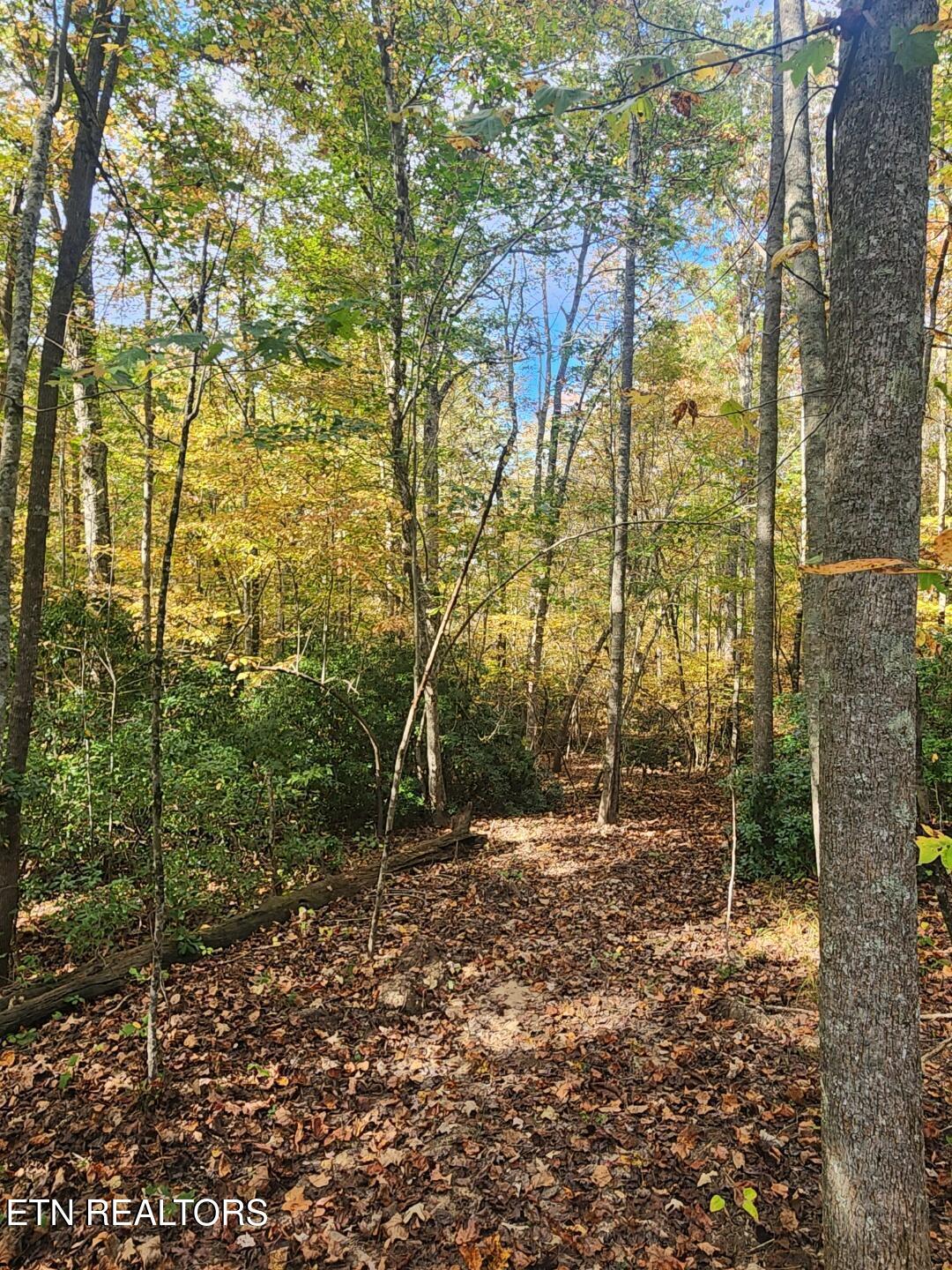 10 T Place Monterey, TN 38574 - Photo 36 of 46 Resized_20251018_144100_1760821111678