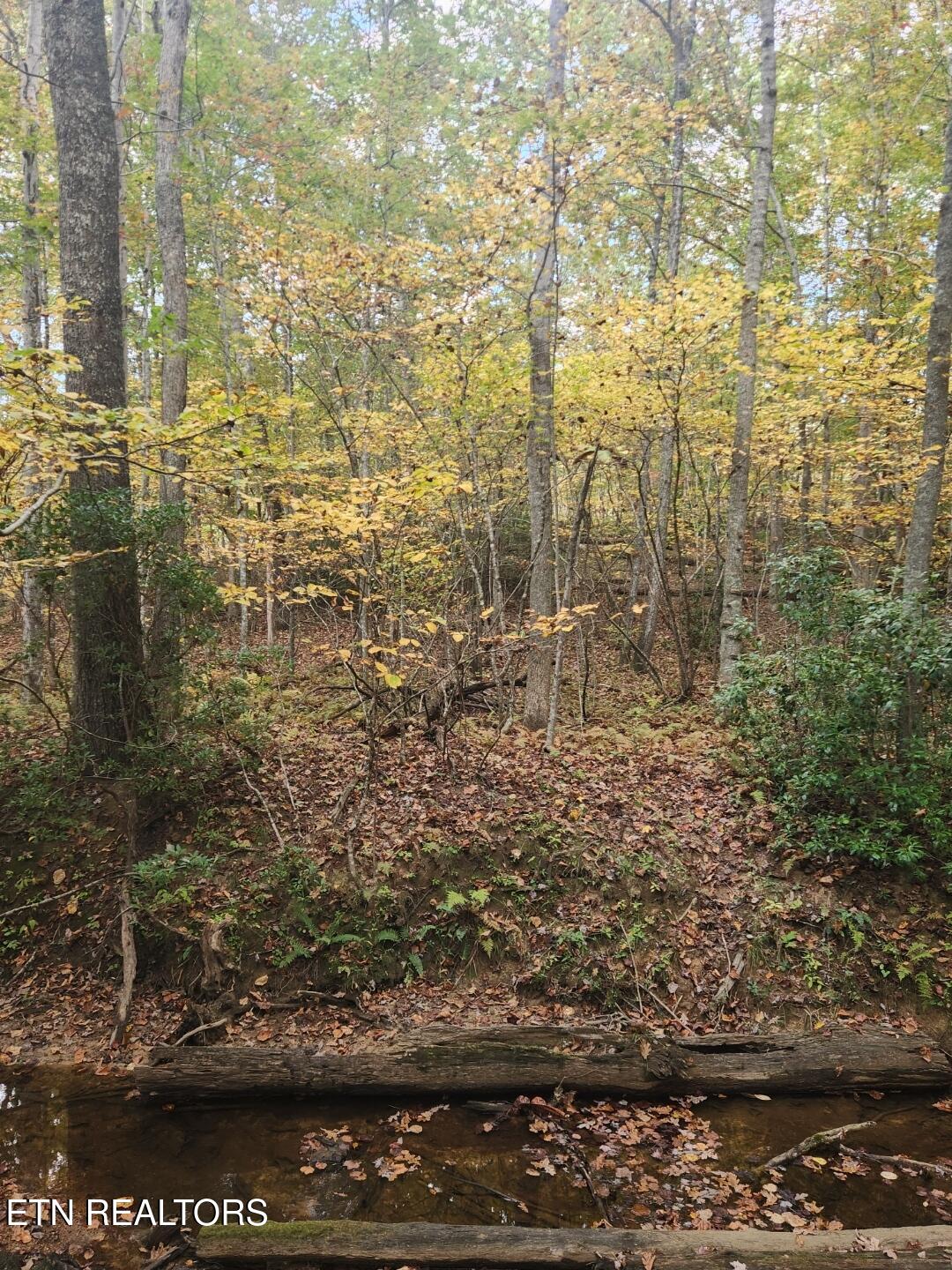 10 T Place Monterey, TN 38574 - Photo 37 of 46 Resized_20251018_144217_1760821091969