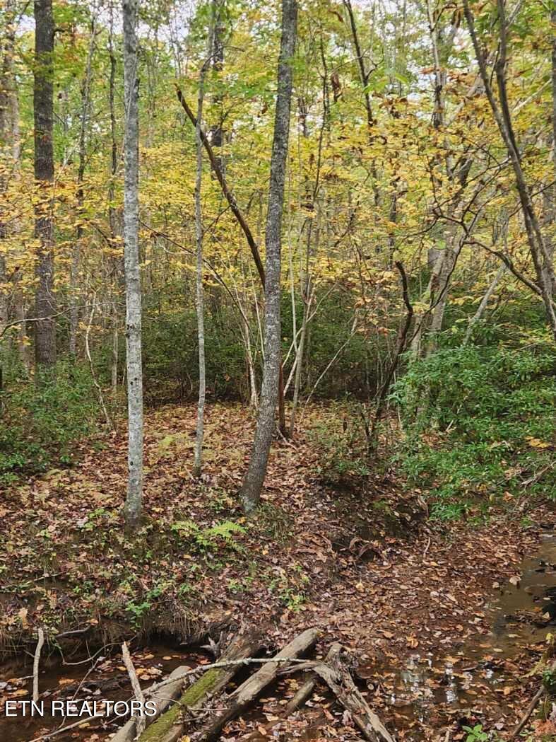 10 T Place Monterey, TN 38574 - Photo 38 of 46 Resized_20251018_144141_1760821105449