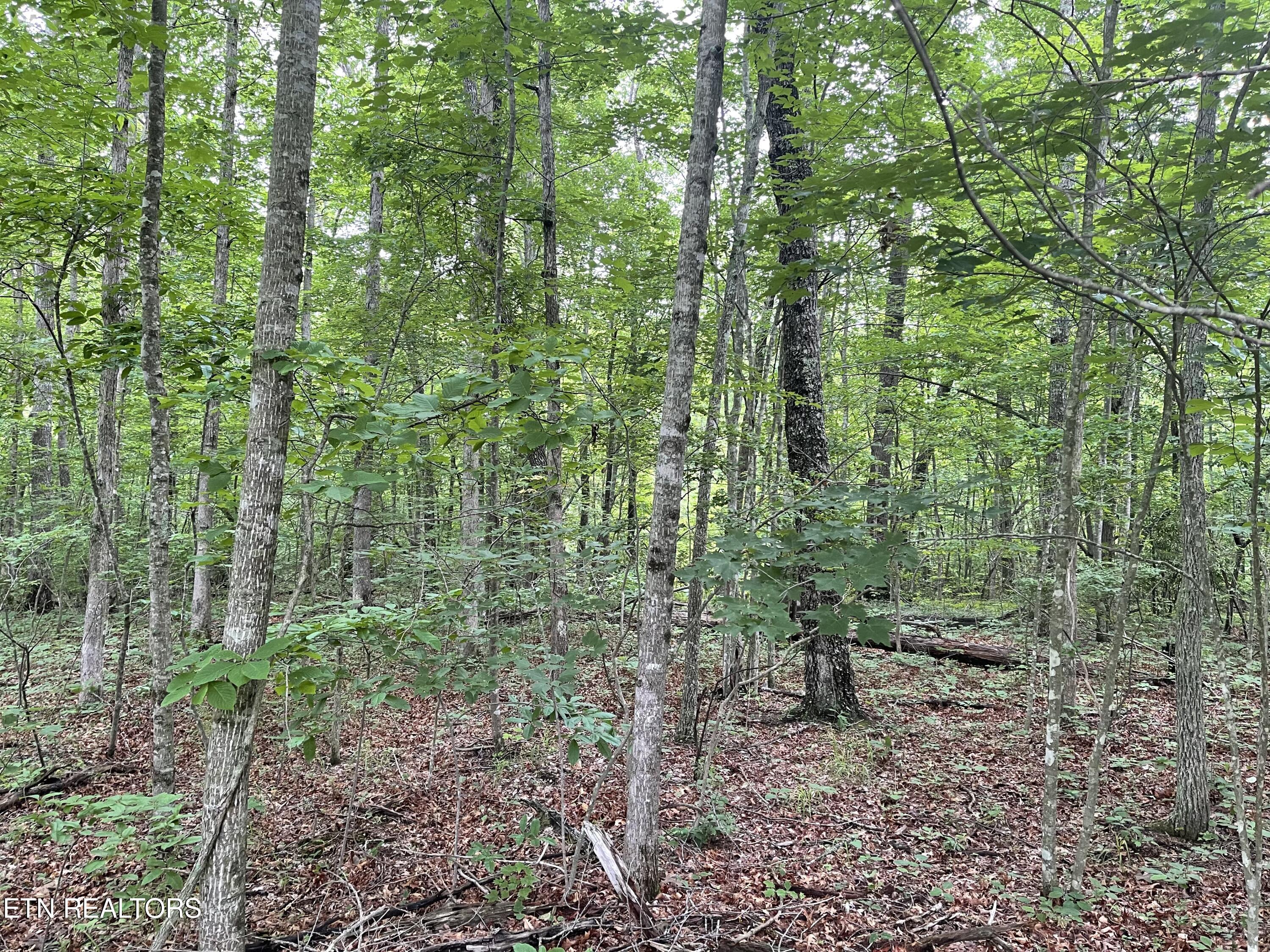 10 T Place Monterey, TN 38574 - Photo 39 of 46 IMG_3181