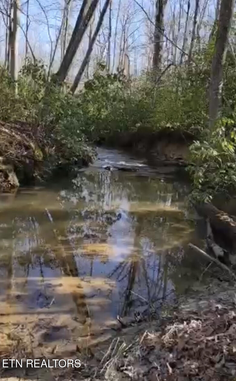 10 T Place Monterey, TN 38574 - Photo 40 of 46 IMG_2866