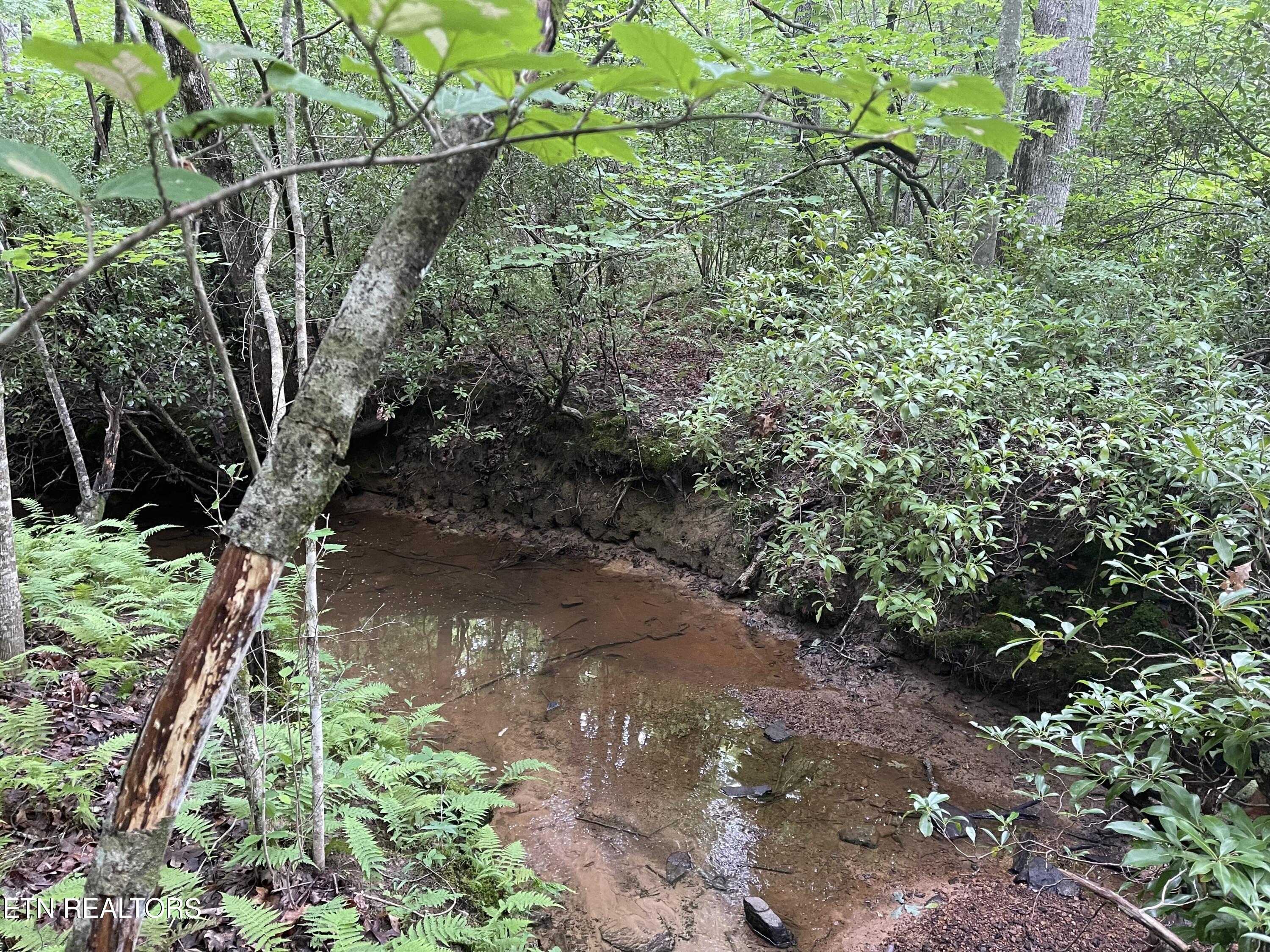 10 T Place Monterey, TN 38574 - Photo 5 of 46 IMG_3184