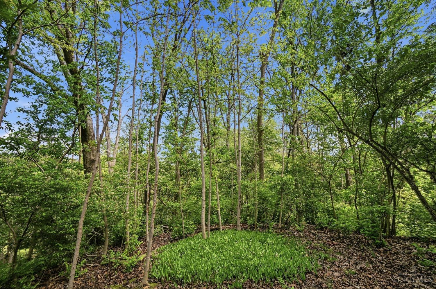 212 Kings Mills Road Mason, OH 45040 - Photo 39 of 54