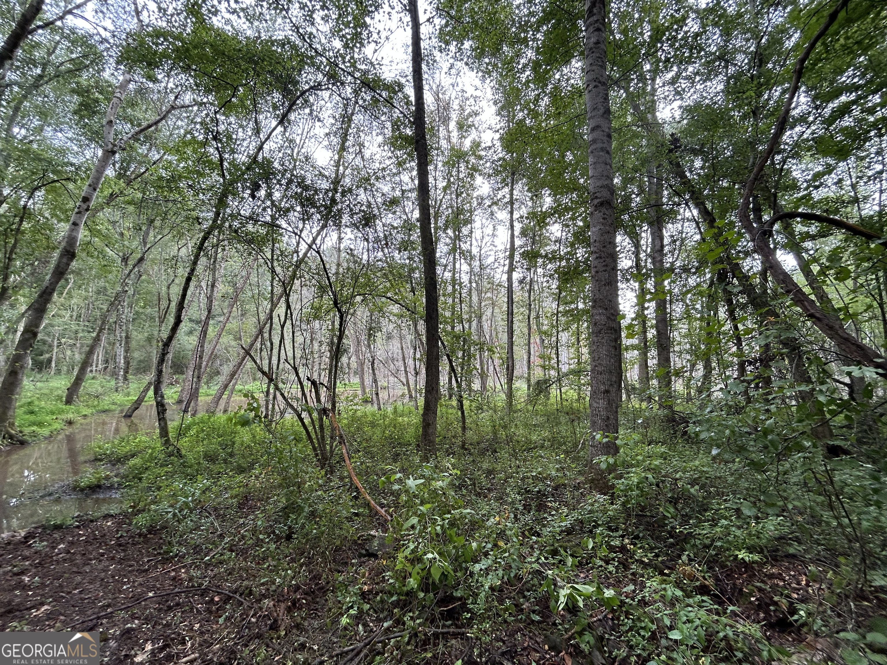 0 Bush Road Barnesville, GA 30204 - Photo 12 of 26 a backyard of a house with lots of green space