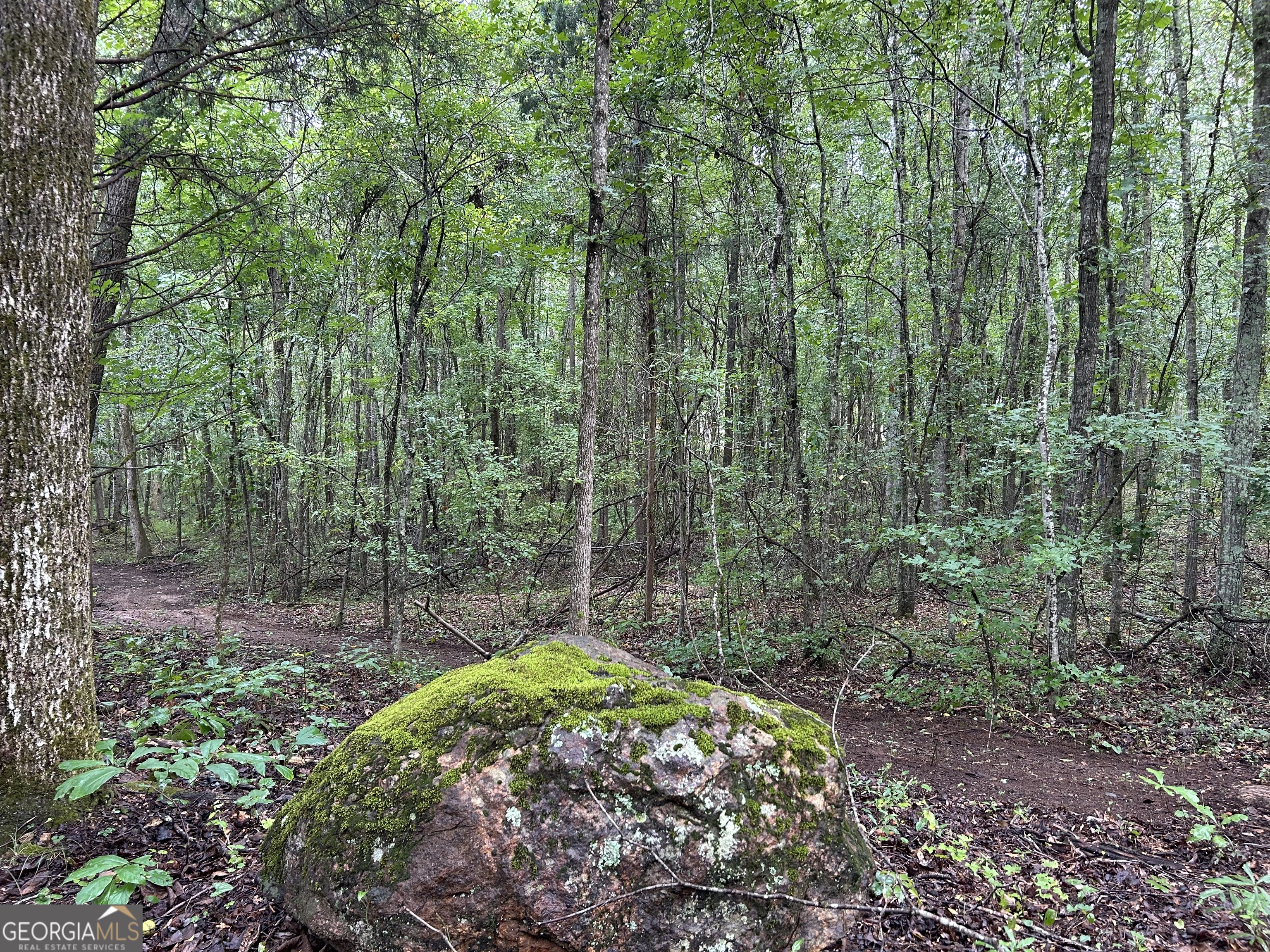 0 Bush Road Barnesville, GA 30204 - Photo 13 of 26 a view of a garden with a trees