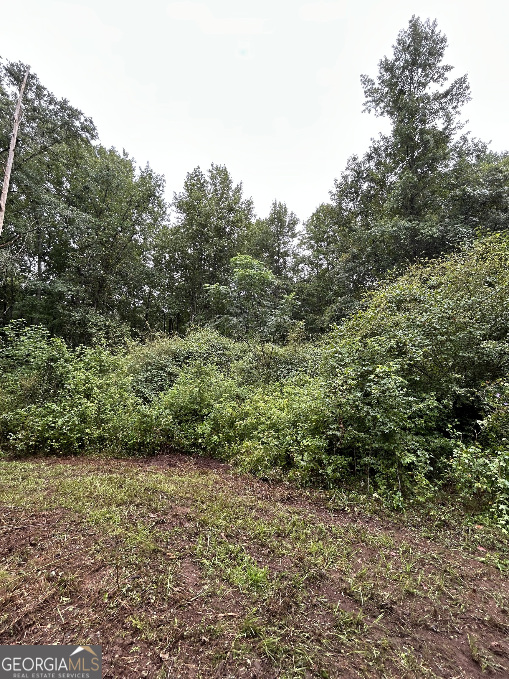 0 Bush Road Barnesville, GA 30204 - Photo 15 of 26 a view of outdoor space and trees all around