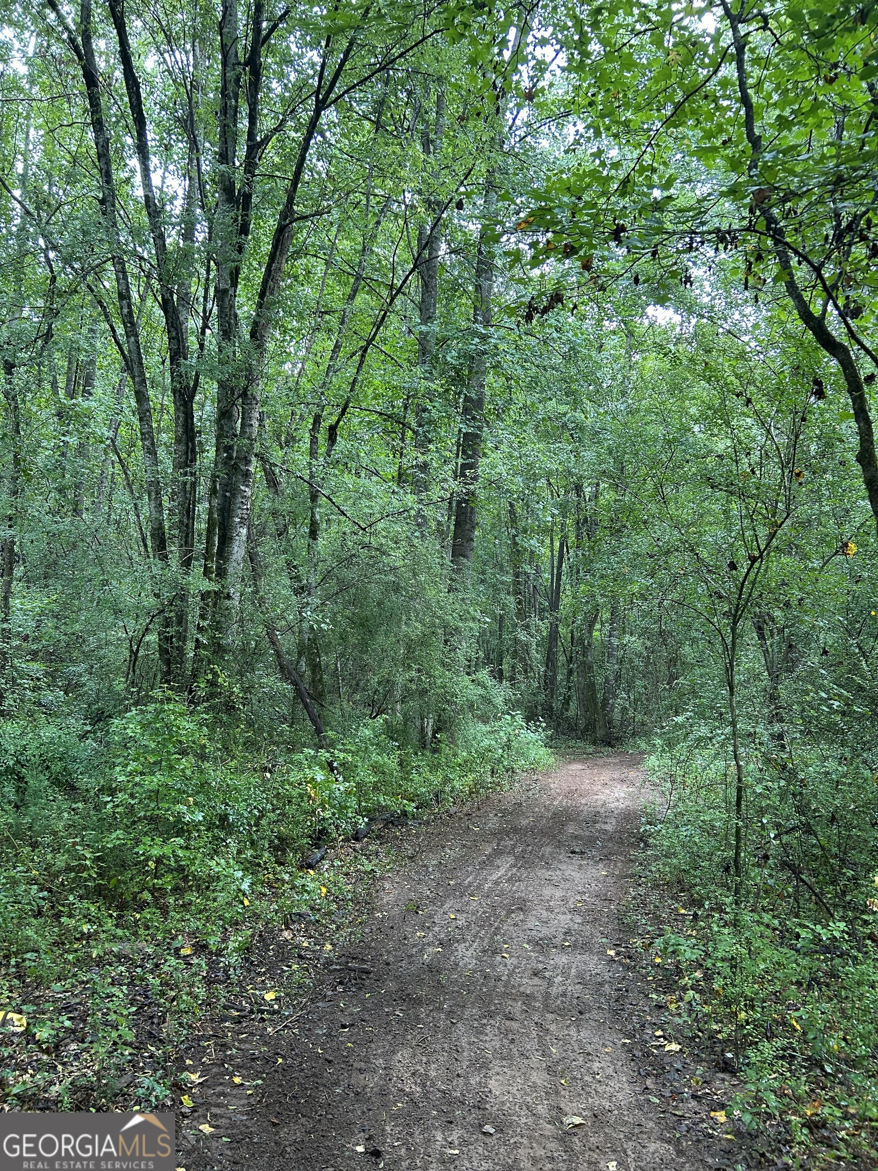 0 Bush Road Barnesville, GA 30204 - Photo 16 of 26 a view of a forest with trees in the background