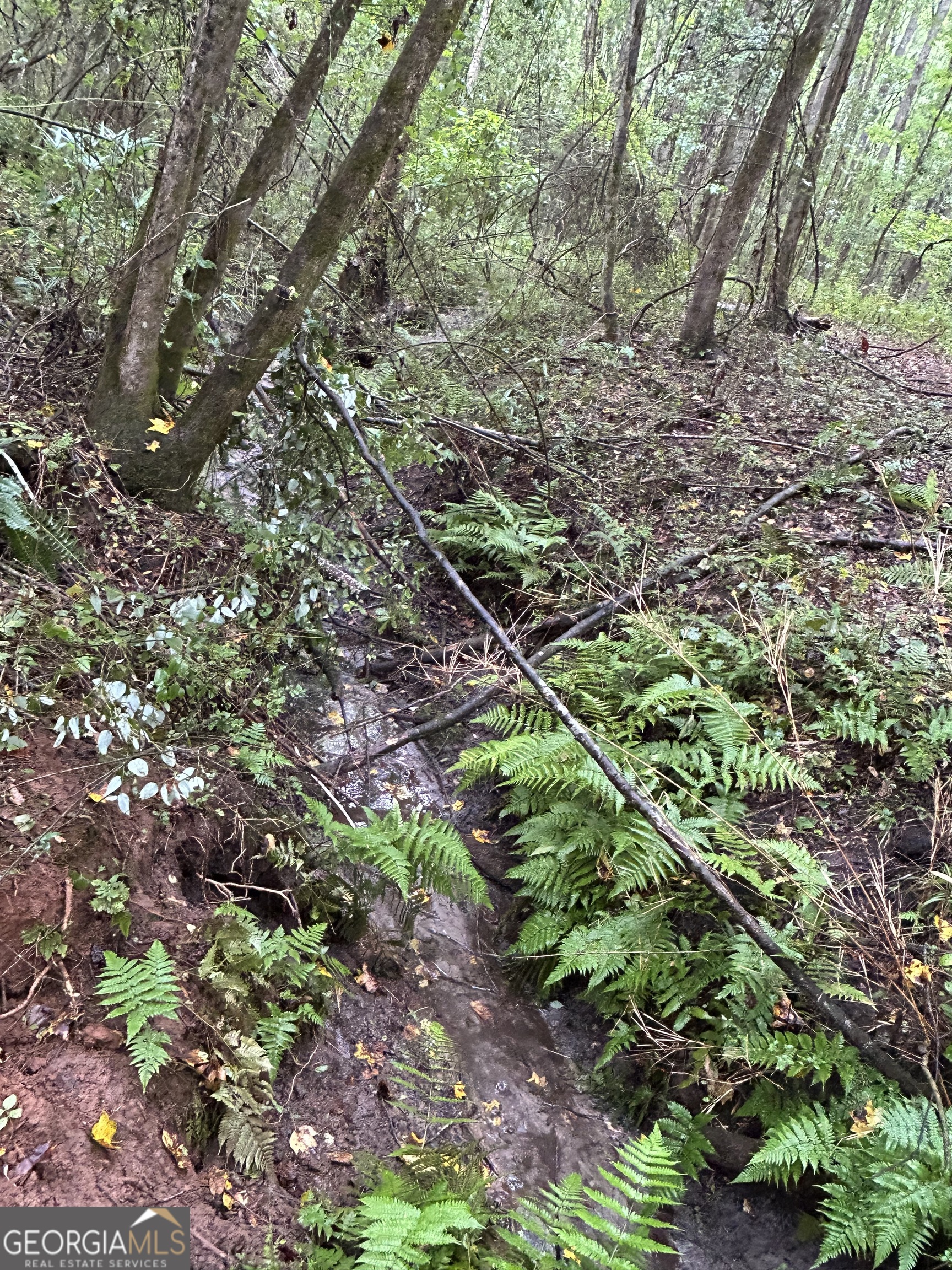 0 Bush Road Barnesville, GA 30204 - Photo 17 of 26 a view of a large yard with lots of plants