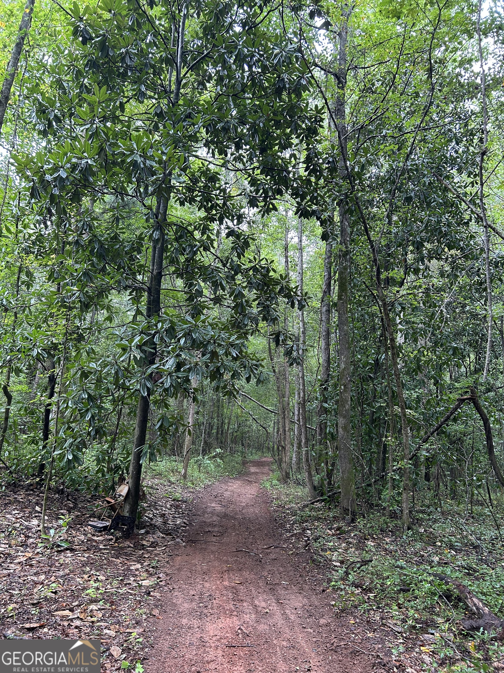 0 Bush Road Barnesville, GA 30204 - Photo 20 of 26 a view of a forest