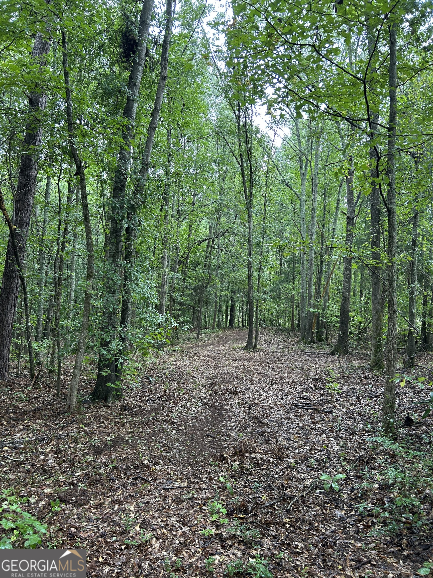 0 Bush Road Barnesville, GA 30204 - Photo 22 of 26 a view of a large yard with lots of green space