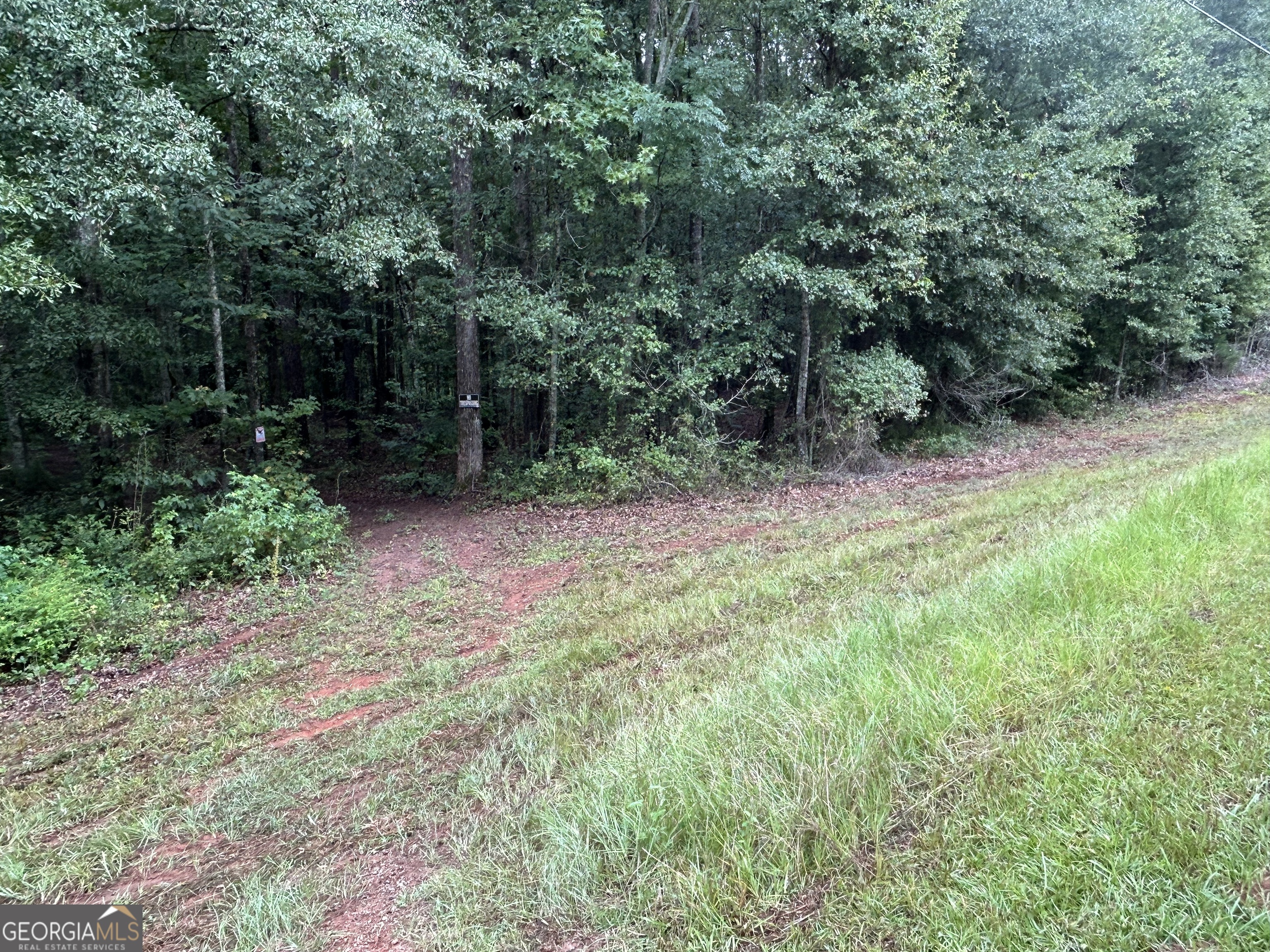 0 Bush Road Barnesville, GA 30204 - Photo 24 of 26 a view of backyard with green space