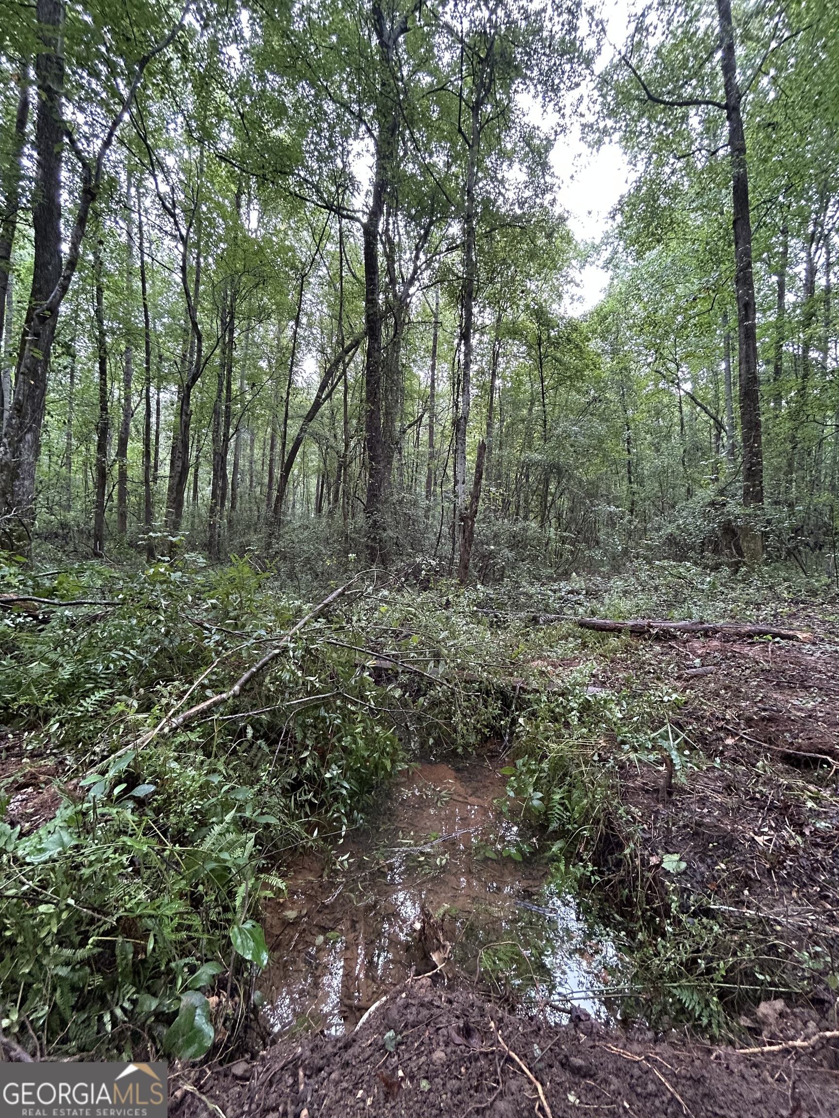 0 Bush Road Barnesville, GA 30204 - Photo 7 of 26 a view of outdoor space and green space