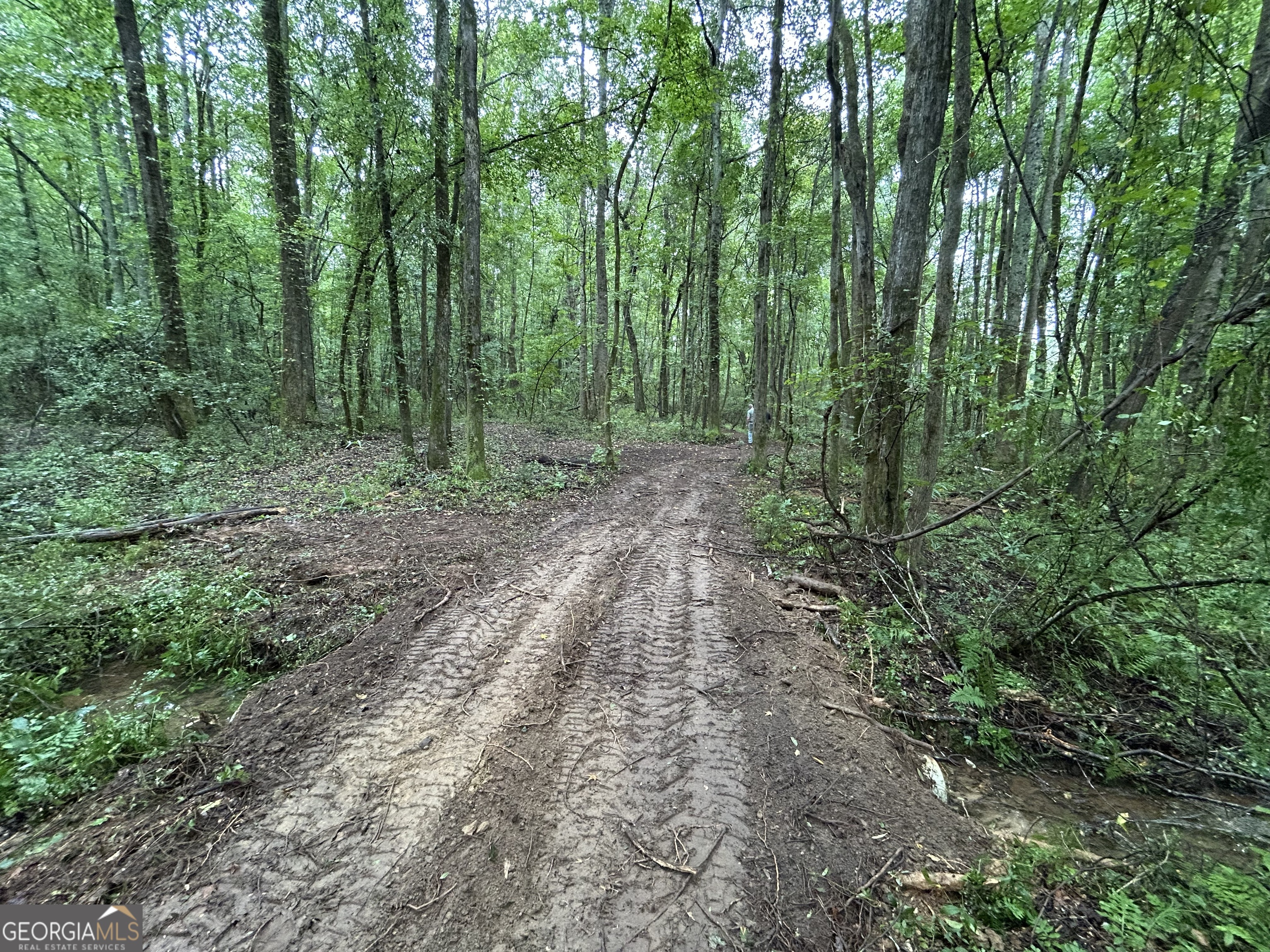 0 Bush Road Barnesville, GA 30204 - Photo 8 of 26 a view of a forest with trees in the background
