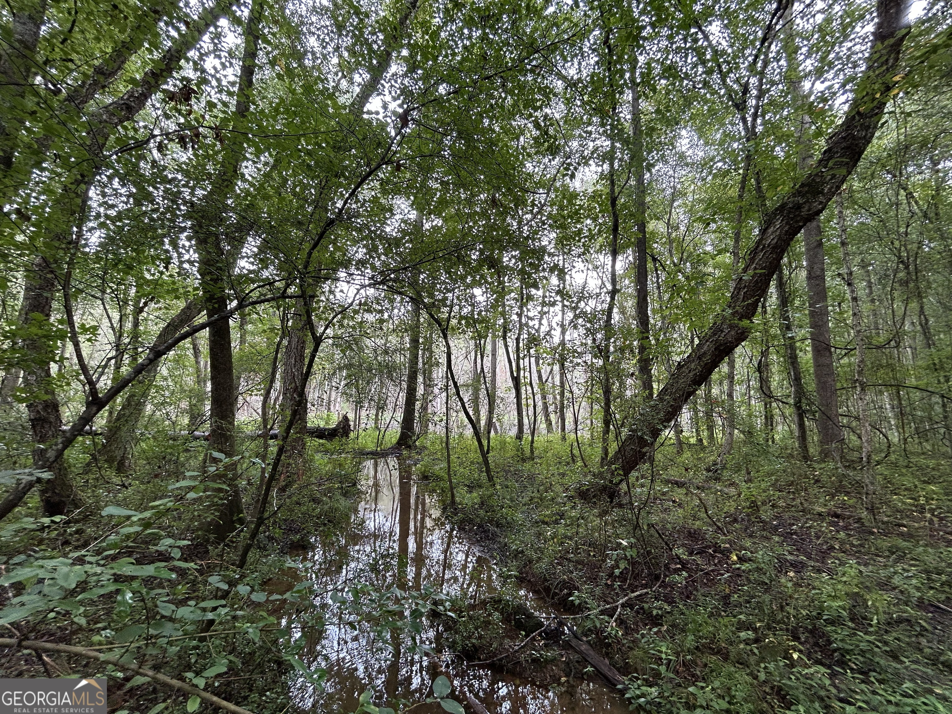 0 Bush Road Barnesville, GA 30204 - Photo 10 of 26 a view of a garden with a tree