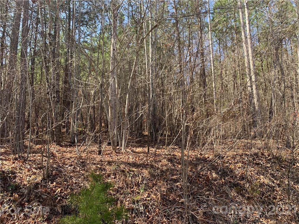 999 Holbert Cove Road, Unit 2 Saluda, NC 28773 - Photo 2 of 9 a view of wooden floor and trees