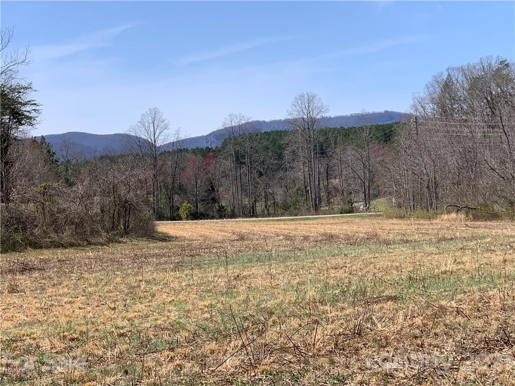 999 Holbert Cove Road, Unit 2 Saluda, NC 28773 - Photo 5 of 9 a view of a yard