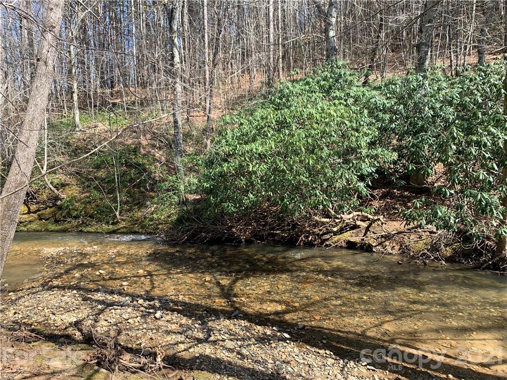 999 Holbert Cove Road, Unit 2 Saluda, NC 28773 - Photo 6 of 9 a view of a yard with trees