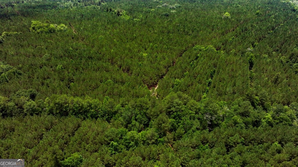 0 Highway 204 & Carlos Cowart Road Pembroke, GA 31321 - Photo 35 of 47