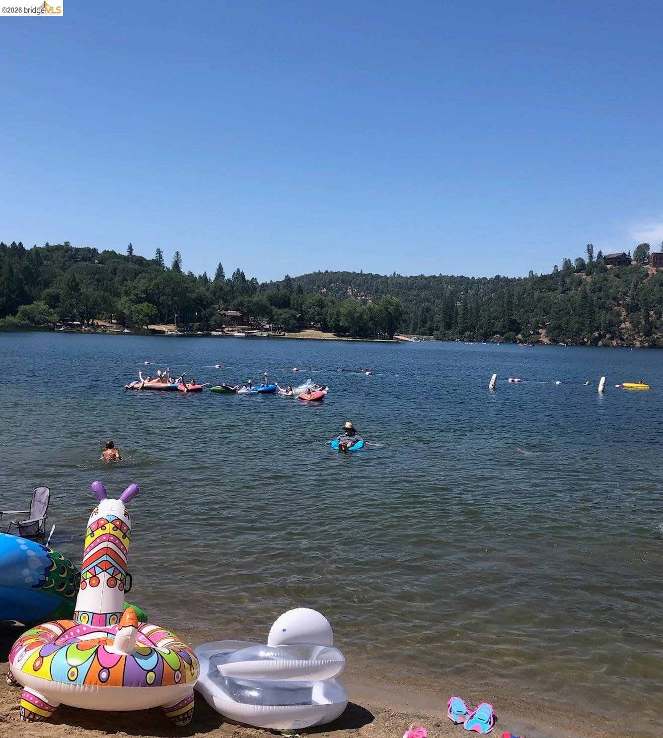 20828 Ferretti Road Groveland, CA 95321 - Photo 45 of 60 Water view featuring a forest