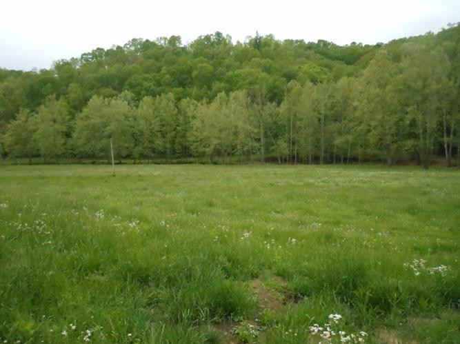 639 Ratliff Road Frenchburg, KY 40322 - Photo 5 of 61 Photo 5