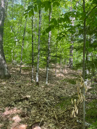 $64,000 | 11-6-4 Reservoir Road, Campton, NH 03223