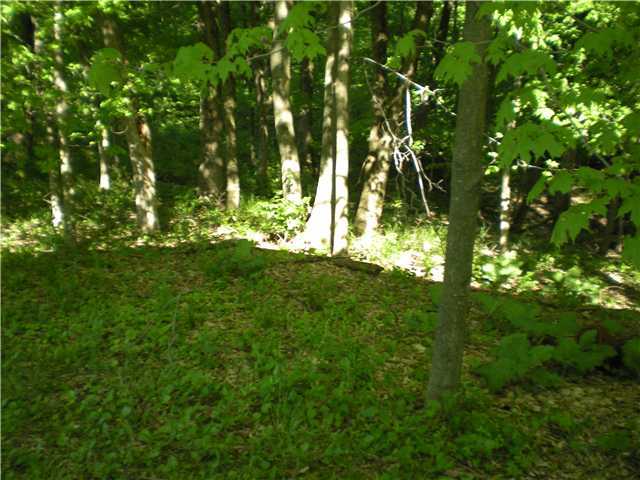 4288 Mounts Road Northwest Alexandria, OH 43001 - Photo 13 of 14