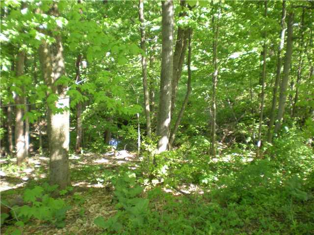 4288 Mounts Road Northwest Alexandria, OH 43001 - Photo 4 of 14