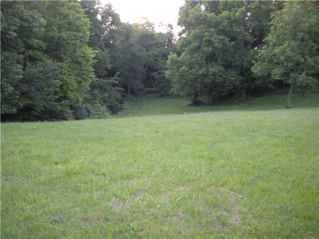 4288 Mounts Road Northwest Alexandria, OH 43001 - Photo 6 of 14