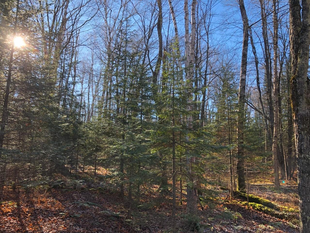 On East Bay Road, Unit LOT 3 Presque Isle, WI 54557 - Photo 14 of 22 Gallery Image 14