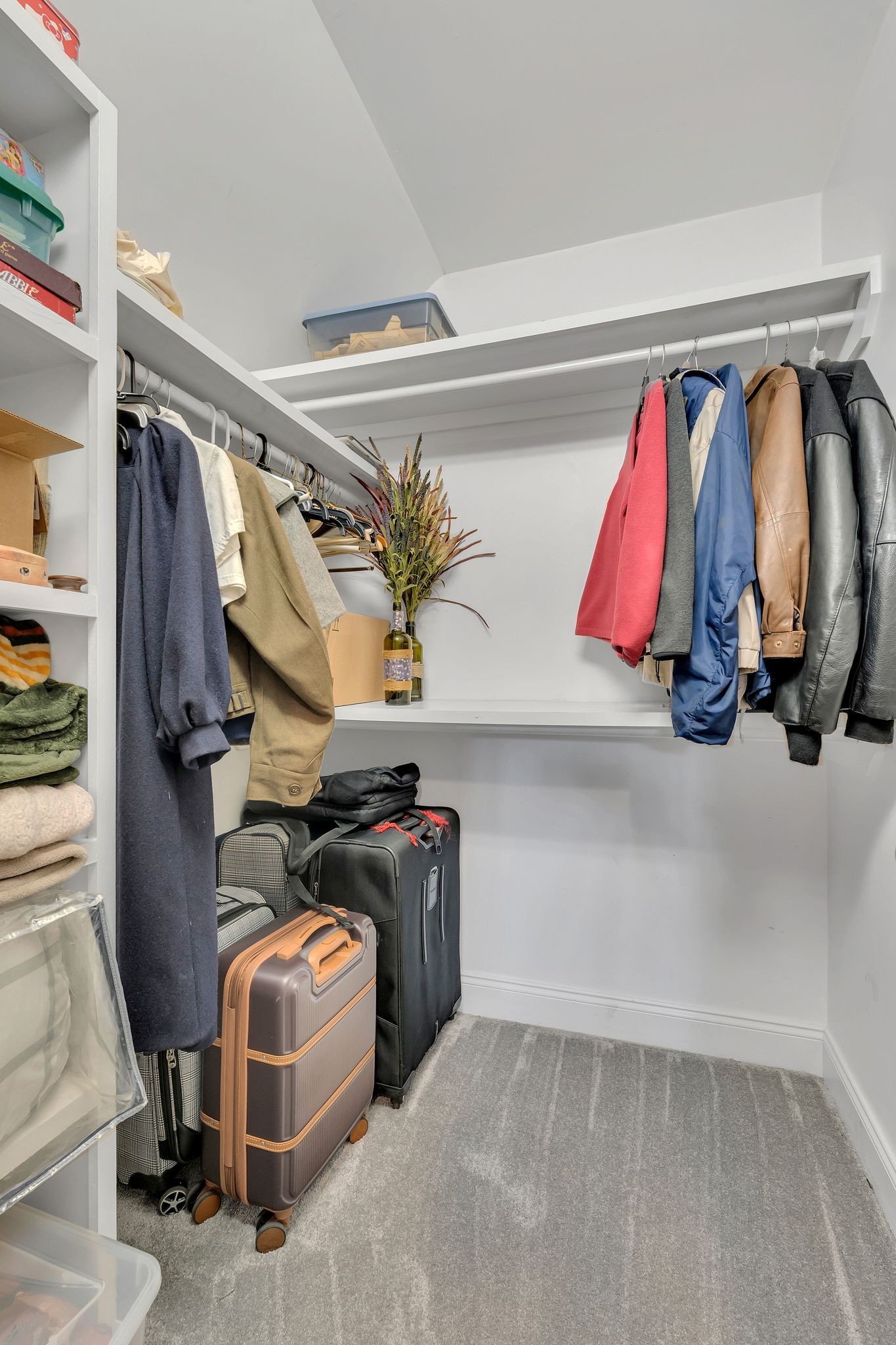 7315 McCormick Drive Fairview, TN 37062 - Photo 39 of 56 a view of walk in closet with clothes and shoes