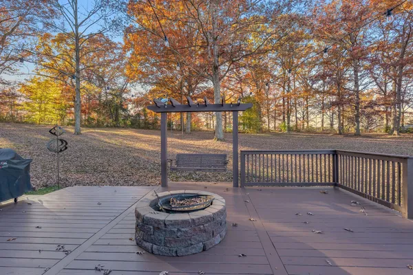 a view of backyard with green space