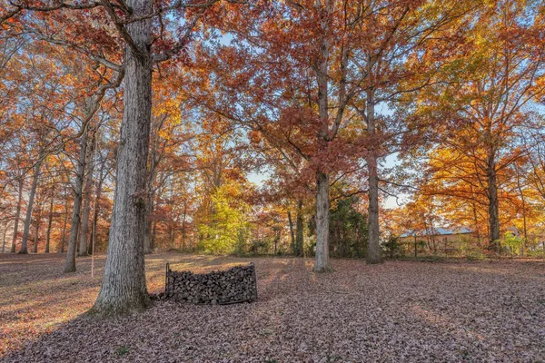 a view of lake and mountain