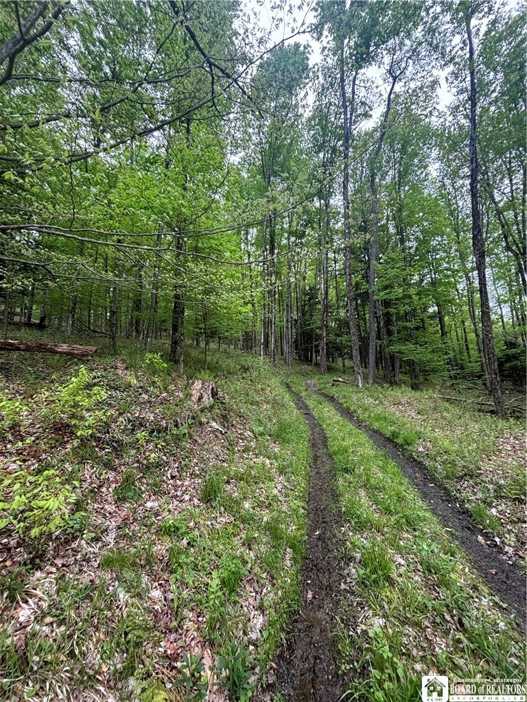 Fulmer Valley Road Wellsville, NY 14895 - Photo 26 of 49